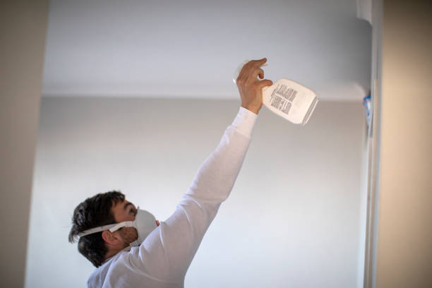 Best Commercial Mold Remediation in Vamo, FL